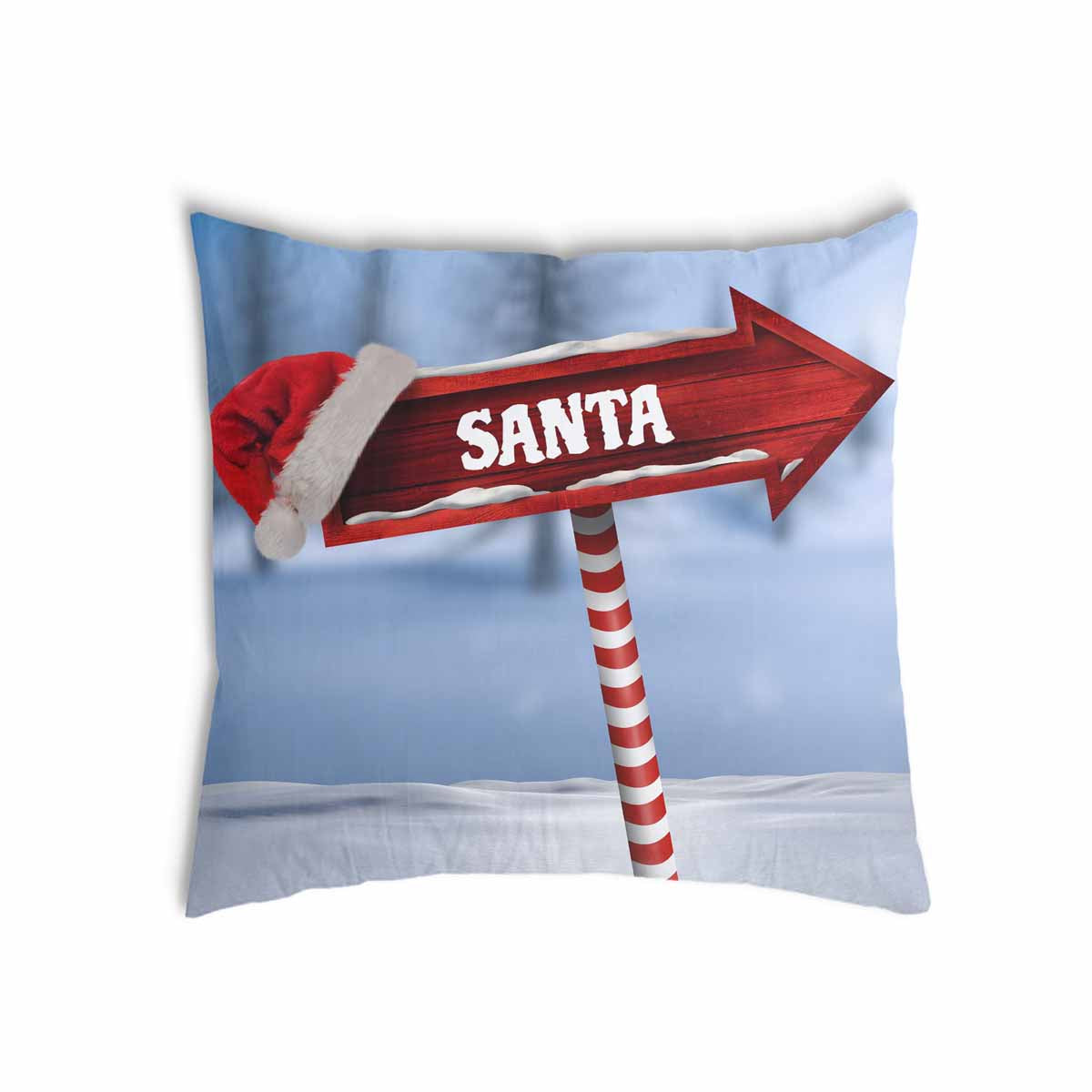 Coussin de santé Santa