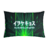 Health pillow with Chinese characters