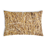 Health pillow with hay