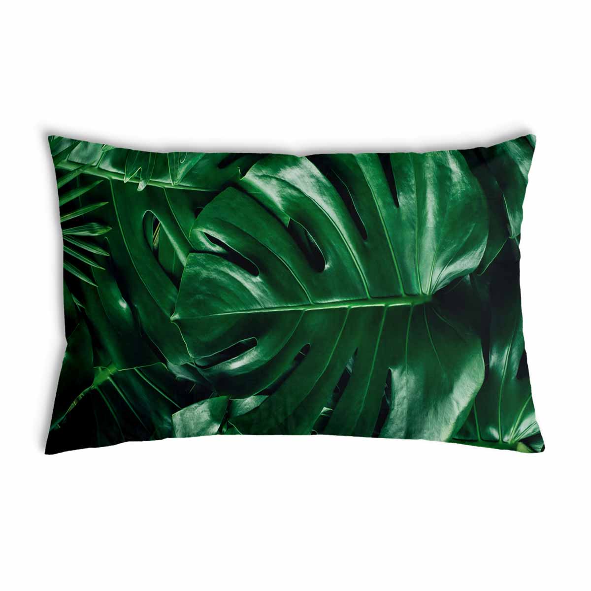 Health pillow with Monstera plant