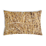 Health pillow with hay
