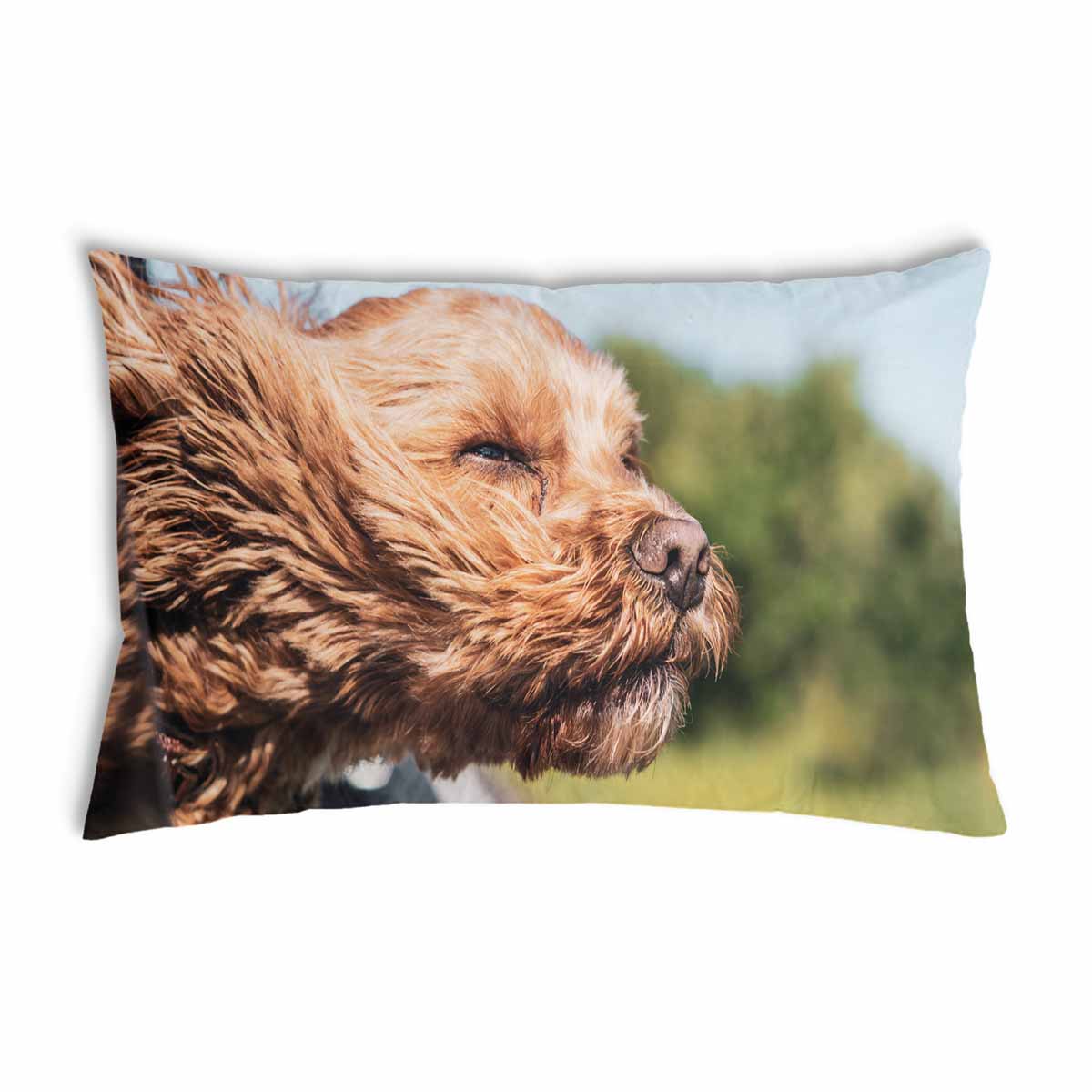 Health pillow with dog in the car