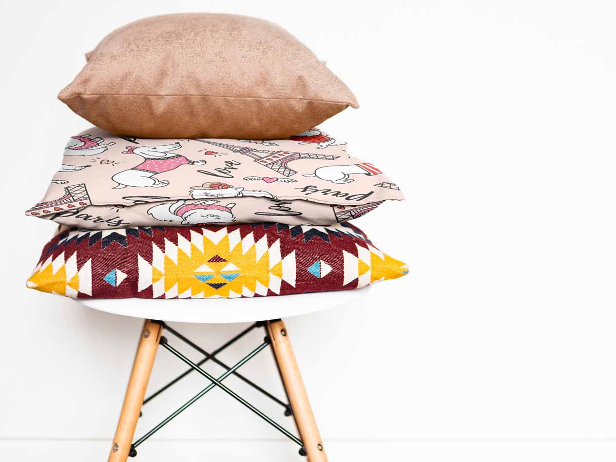 Health pillow dog in Paris