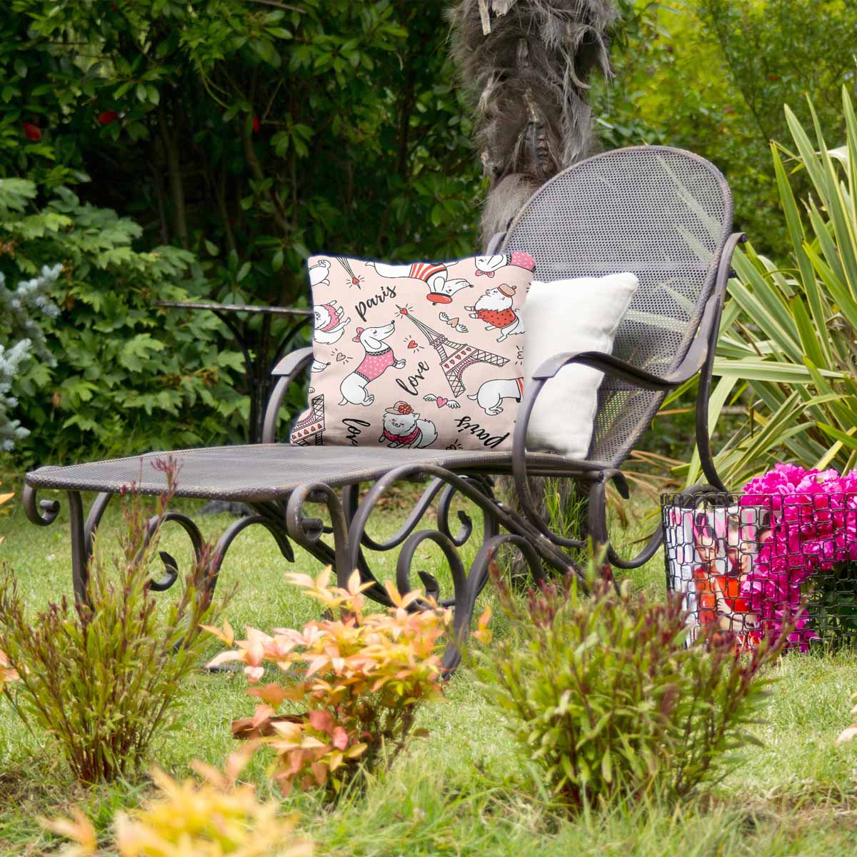 Health pillow dog in Paris