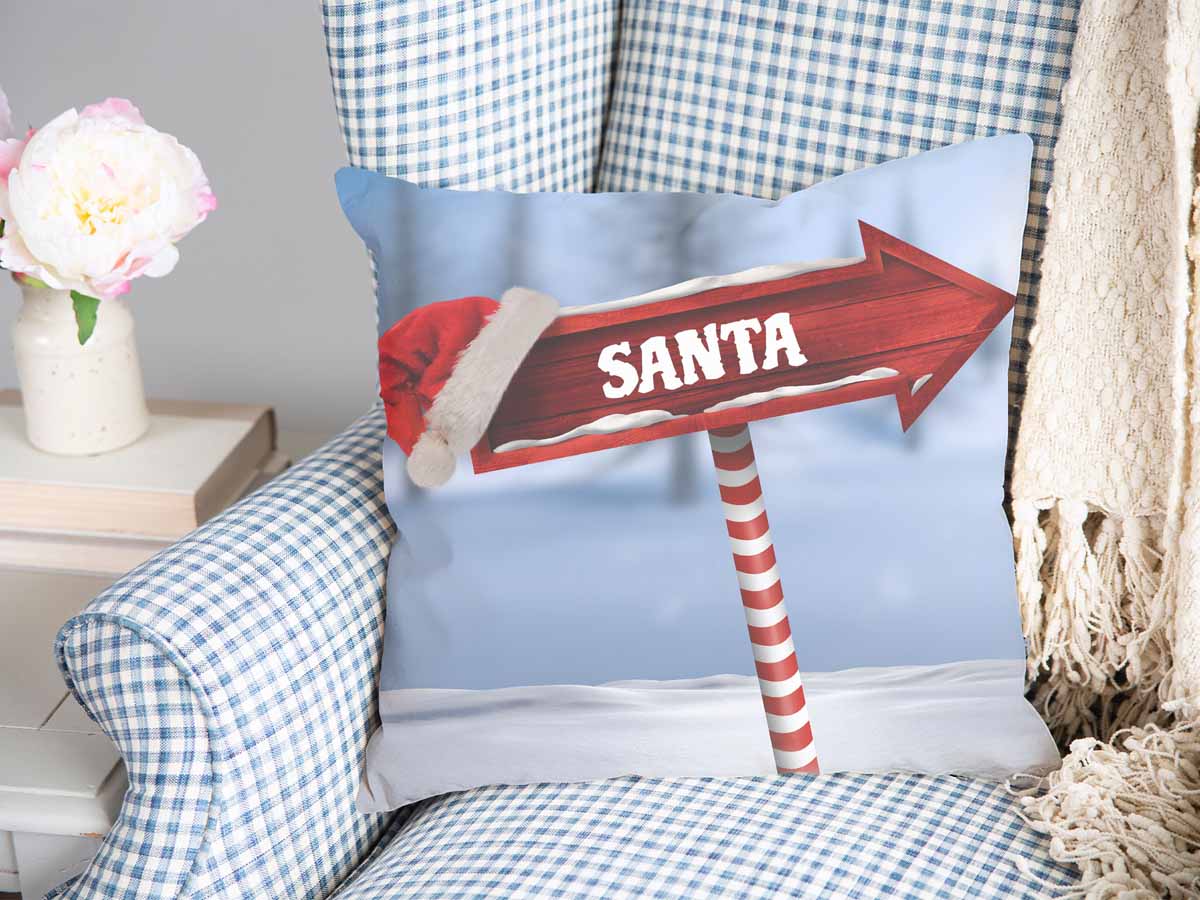 Coussin de santé Santa