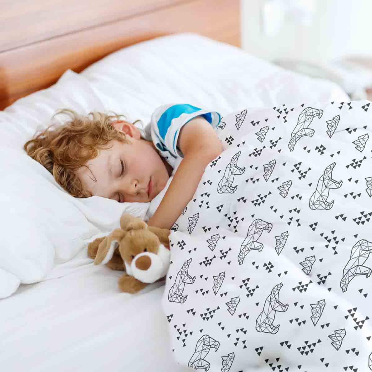 Therapy blankets bedding set North Pole