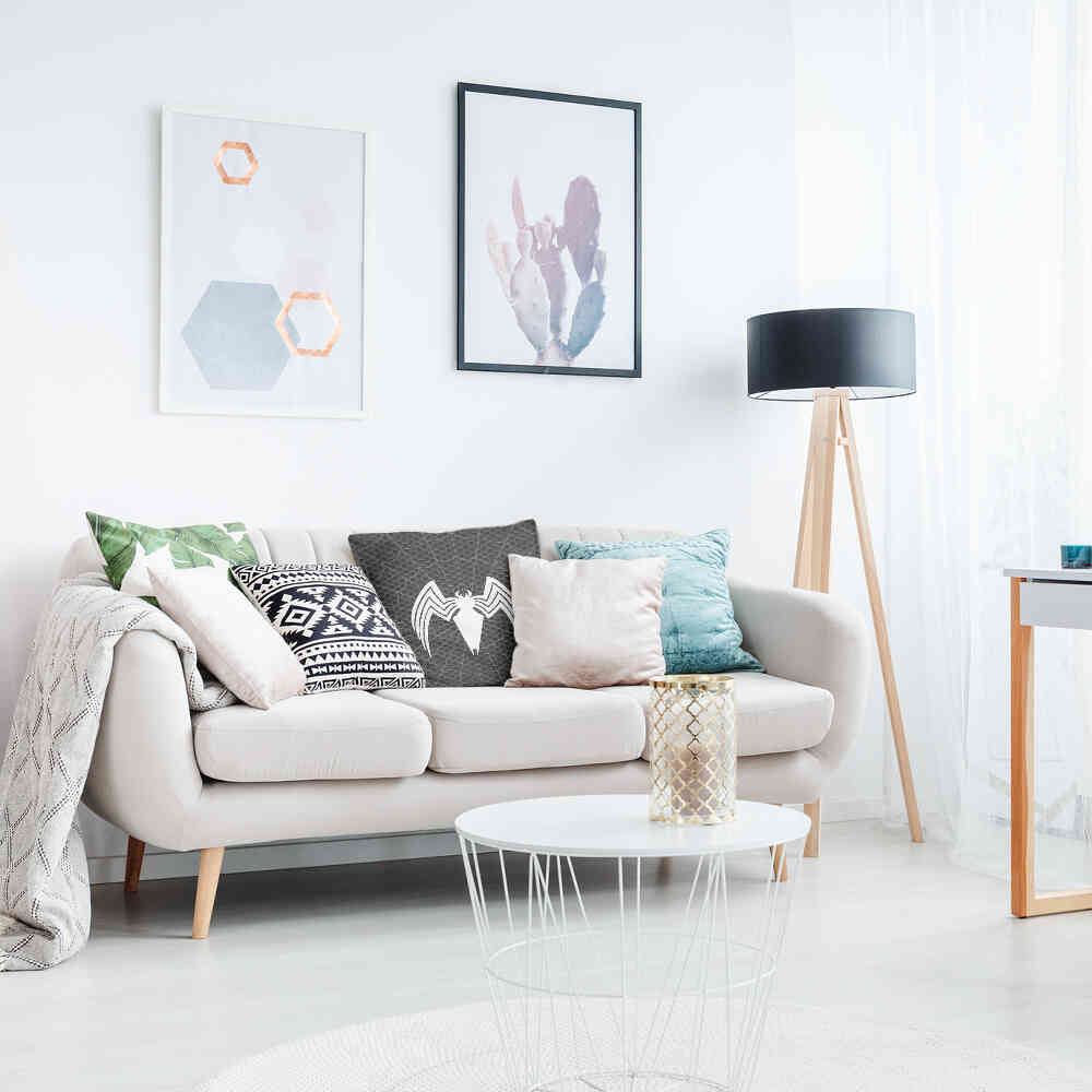 Coussin de santé noir avec araignée