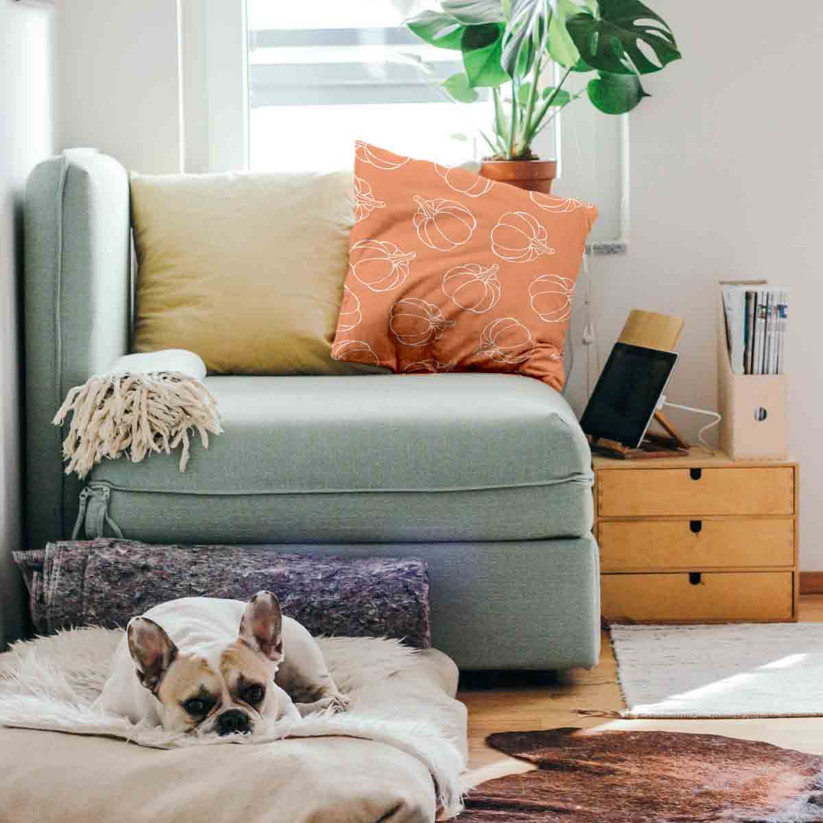 Health Pillow Orange with Pumpkin