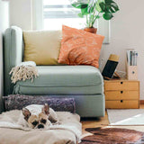 Health Pillow Orange with Pumpkin