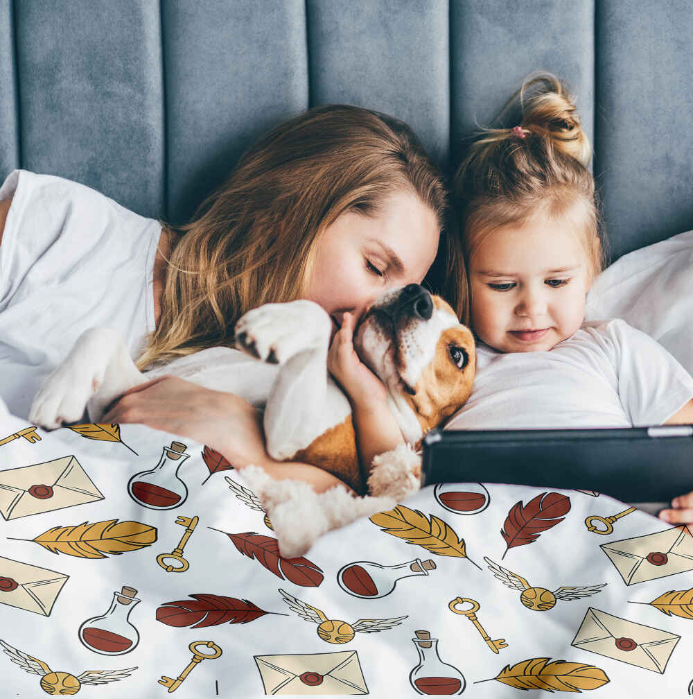 Therapy blankets bedding set Golden Snitch