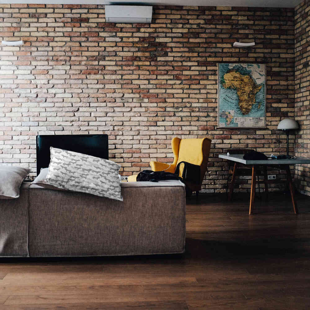 Coussin de santé gris avec des ânes