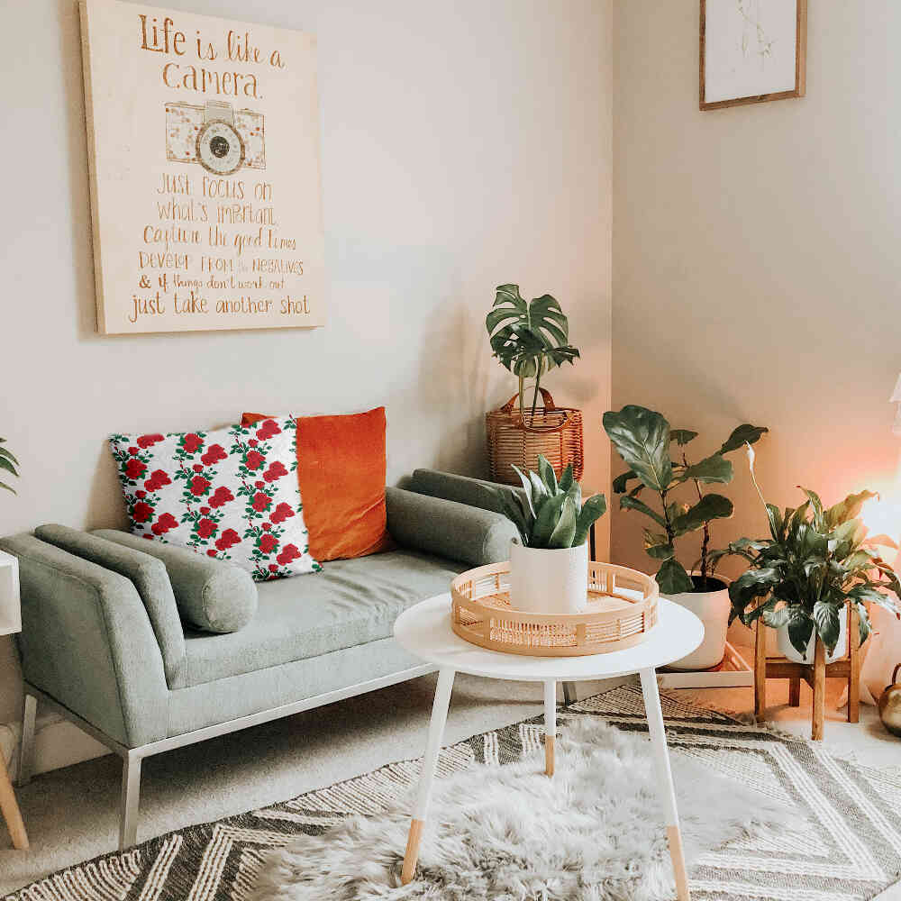 Coussin de santé blanc avec rosier