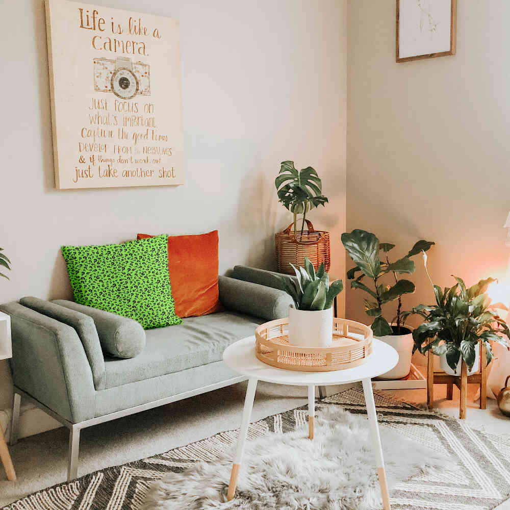 Health Pillow Light Green with Question Mark