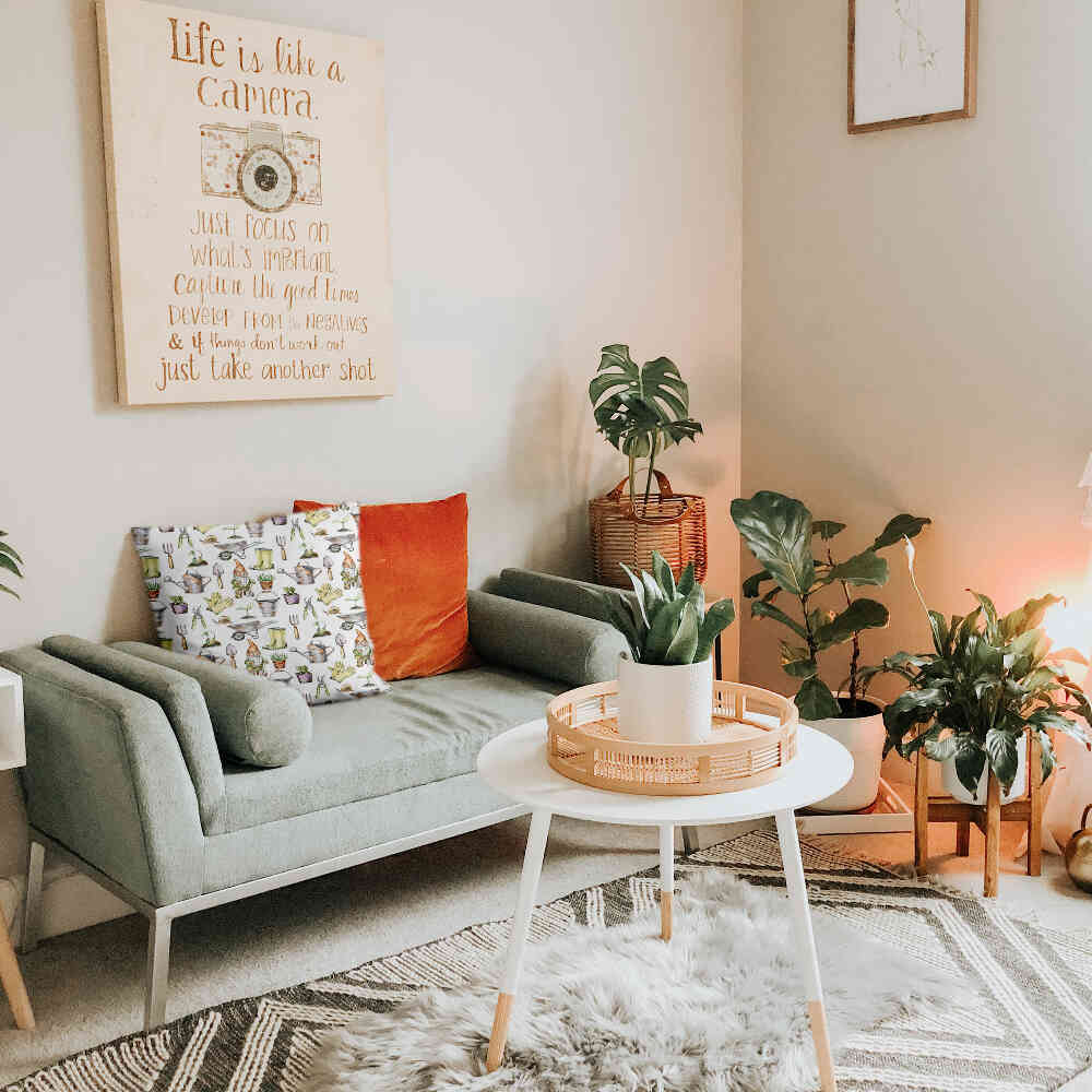 Coussin de santé blanc jardinage