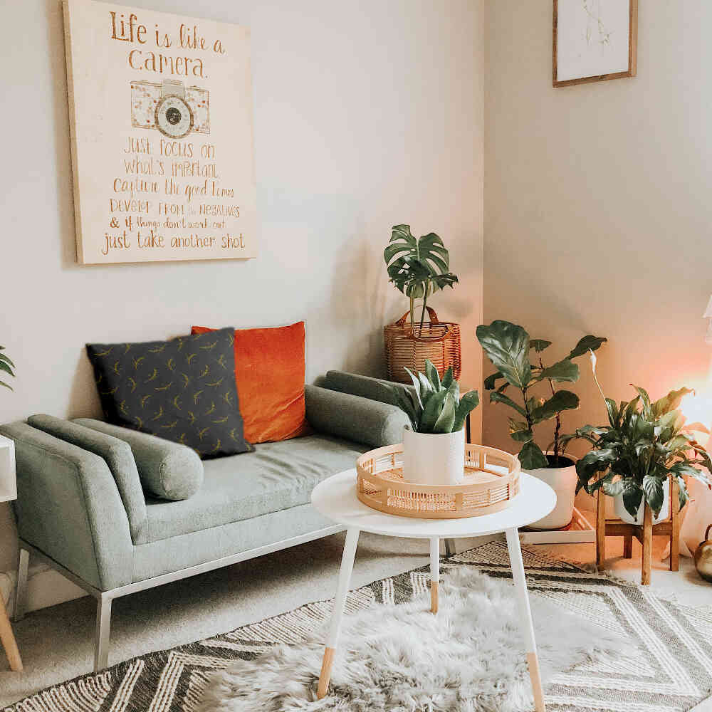 Coussin de santé gris avec blé