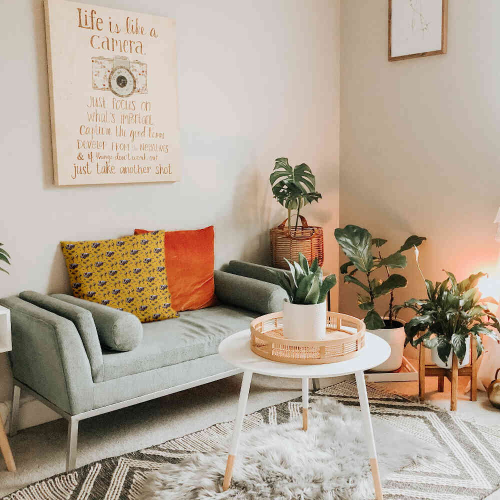 Coussin de santé Récolte
