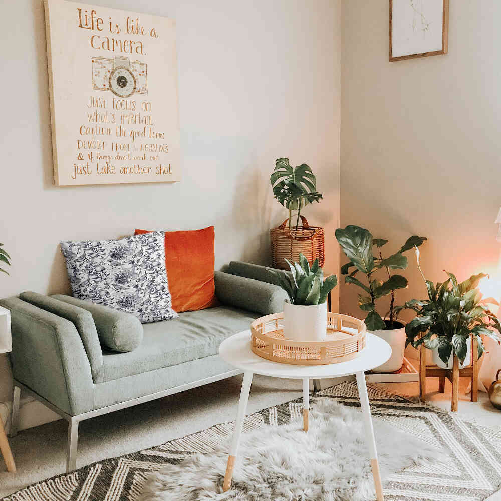 Coussin de santé gris printemps