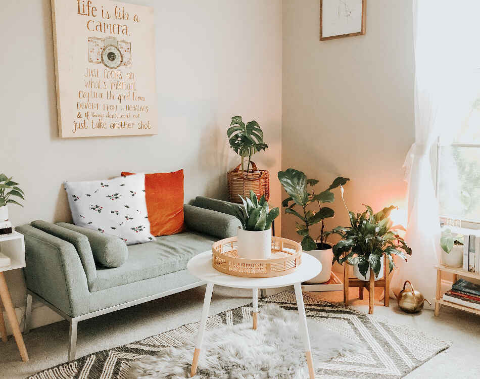 Coussin de santé blanc branches de gui