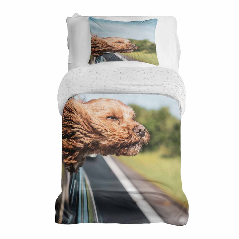 Therapy blanket and bedding set with dog in car