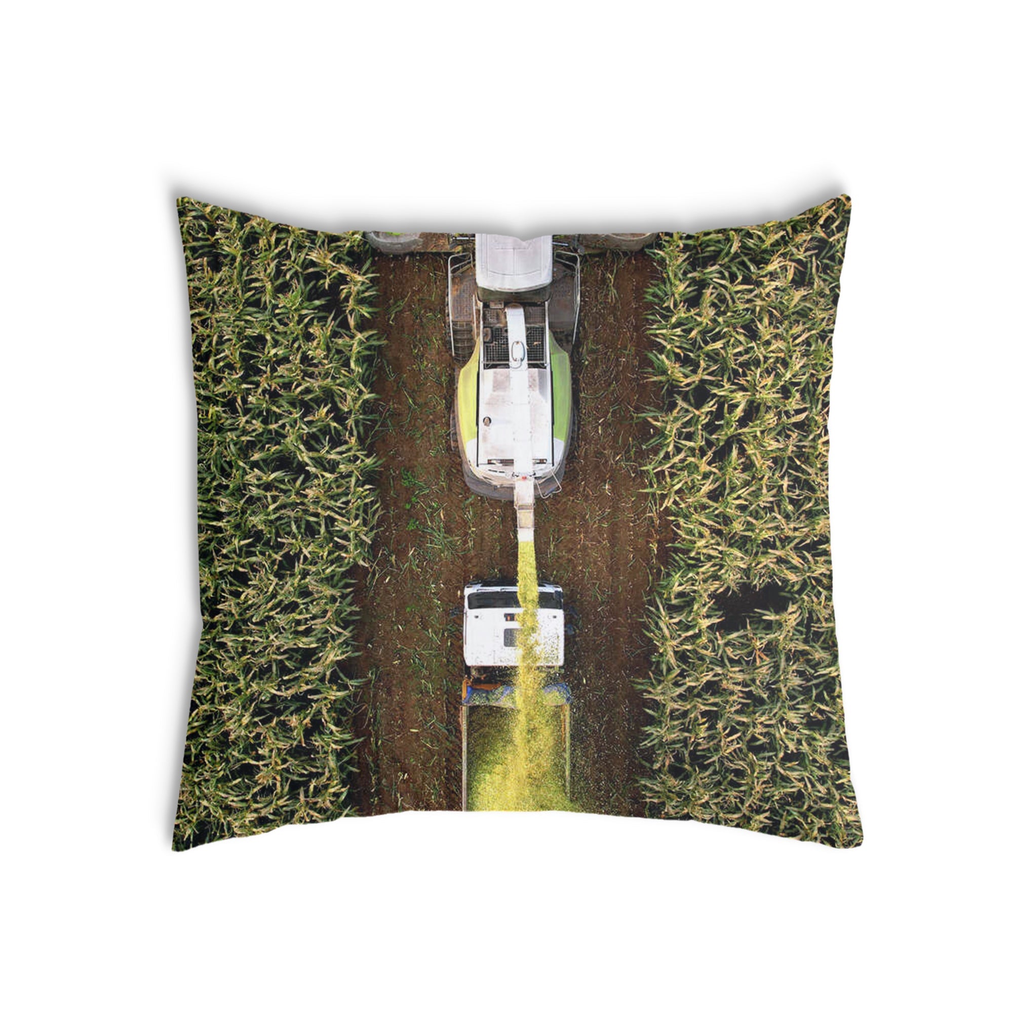 Coussin de santé Champ Vert