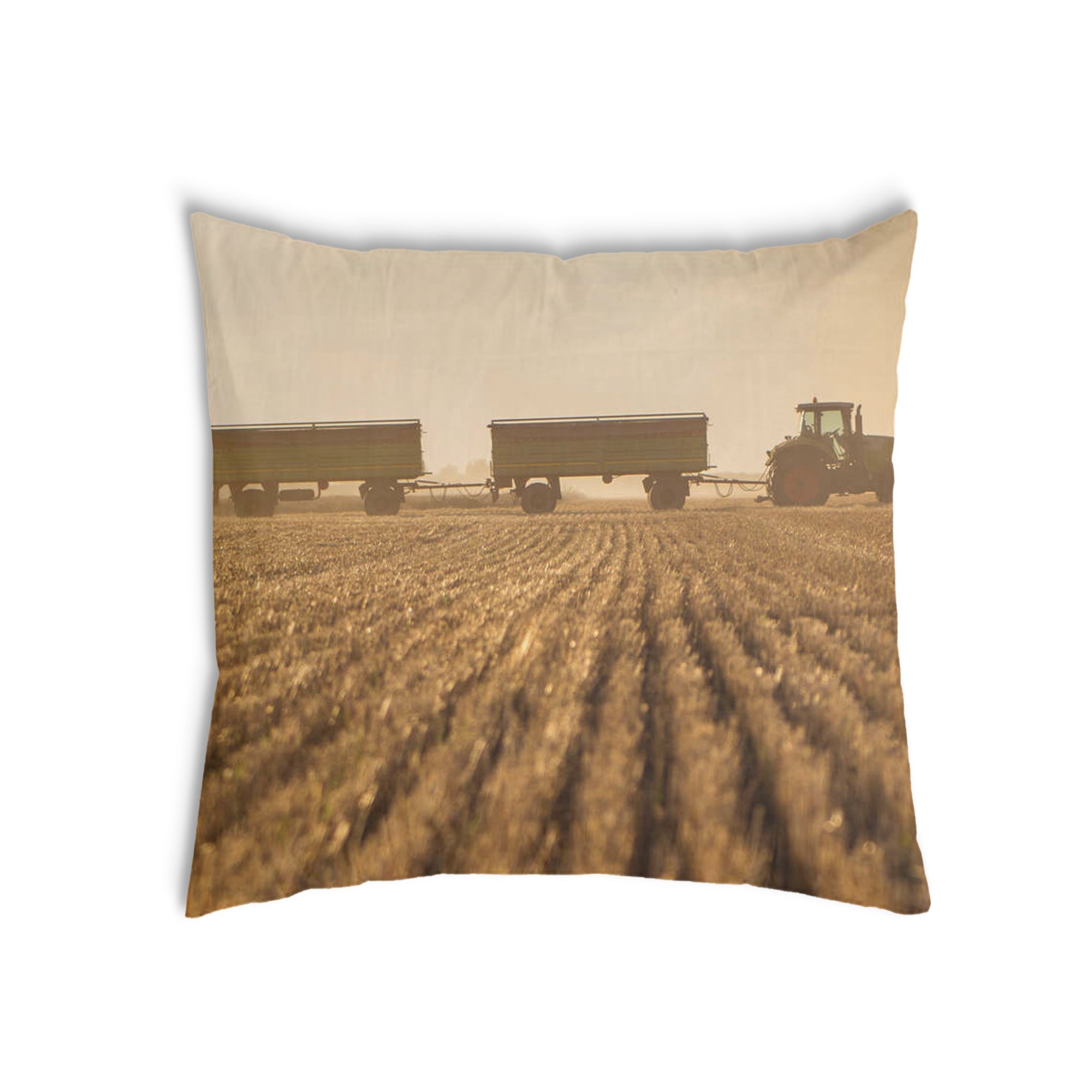 Coussin de santé Braun Acker