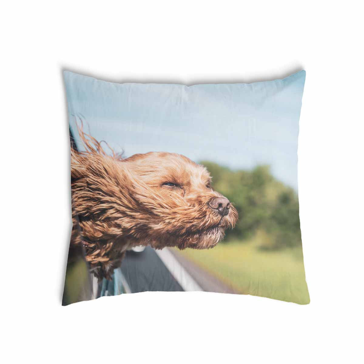 Health pillow with dog in the car