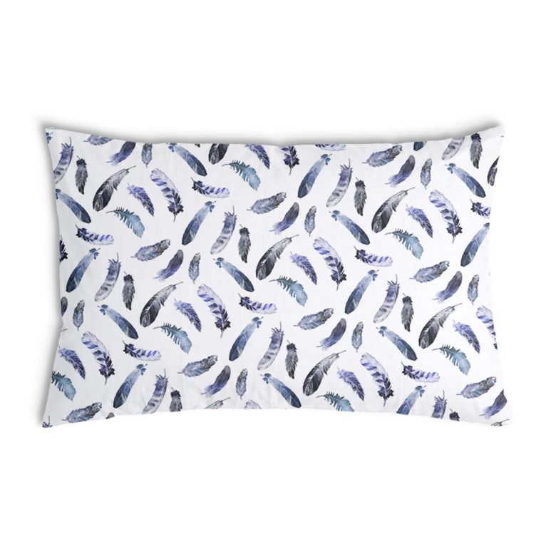 Coussin de santé plumes