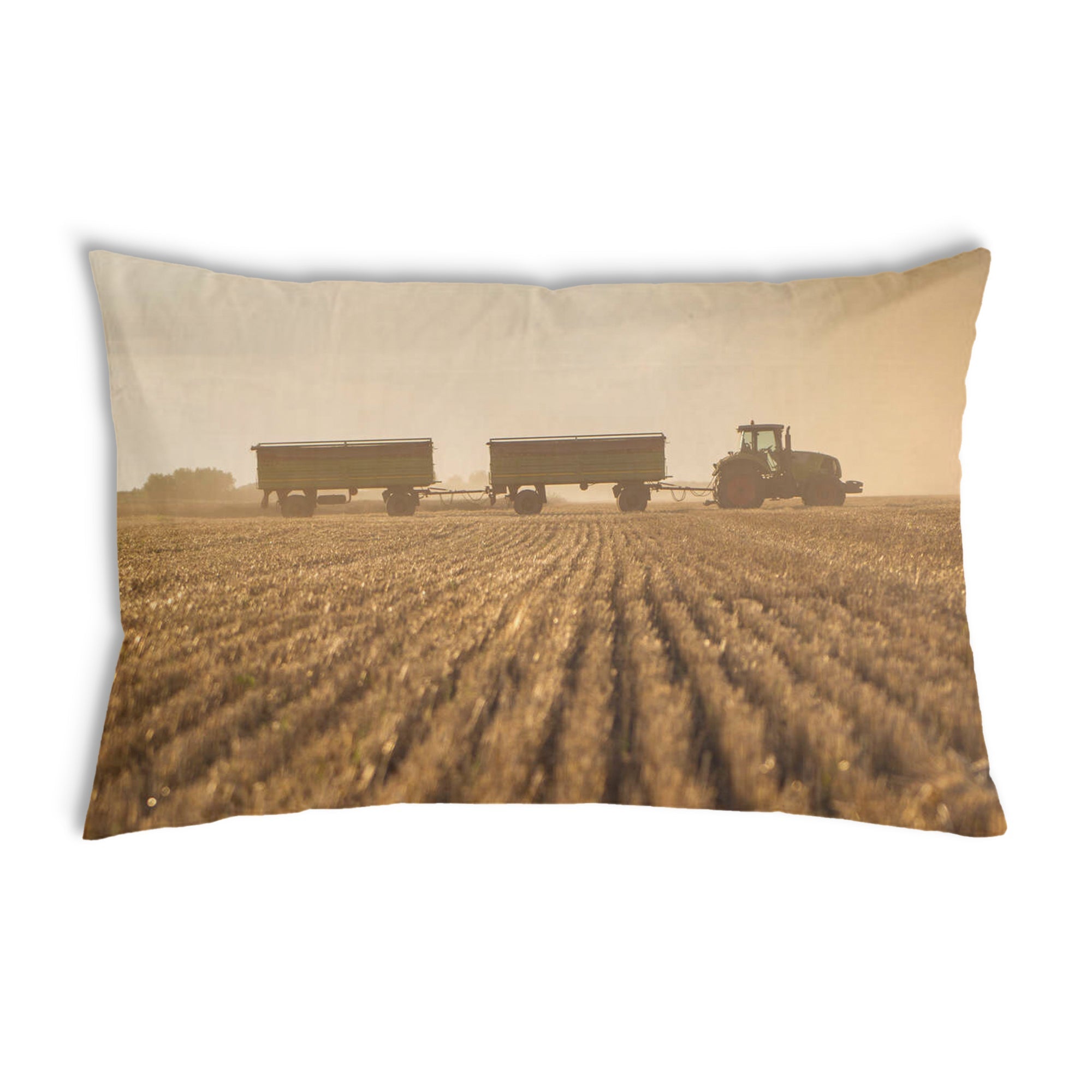 Coussin de santé Braun Acker