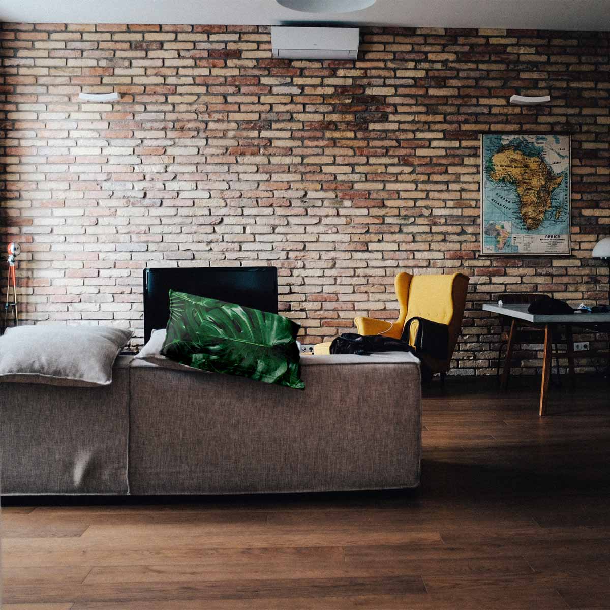 Coussin de santé avec plante Monstera