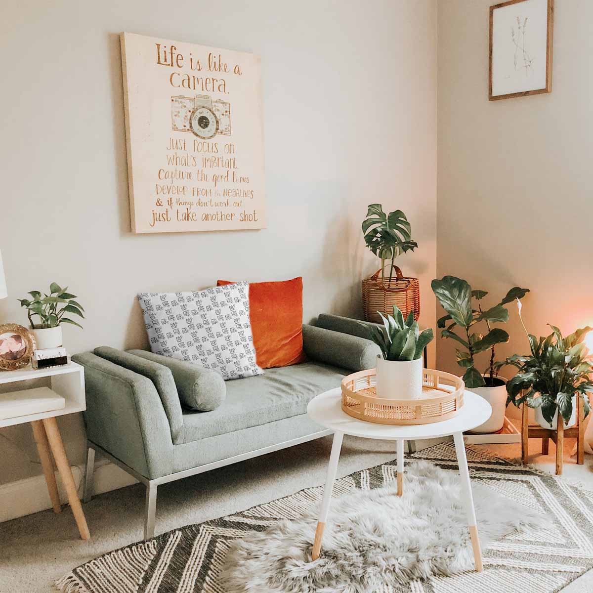 Coussin de santé blanc avec chat