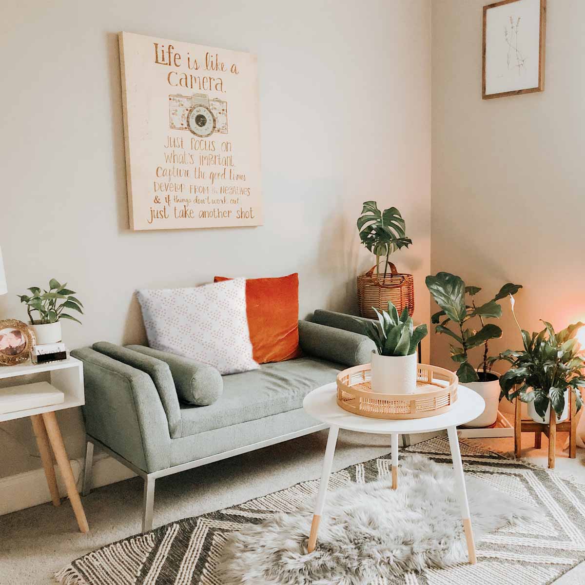 Health pillow with orange dots