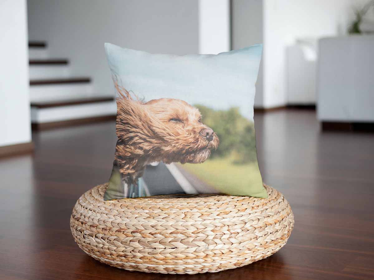 Health pillow with dog in the car