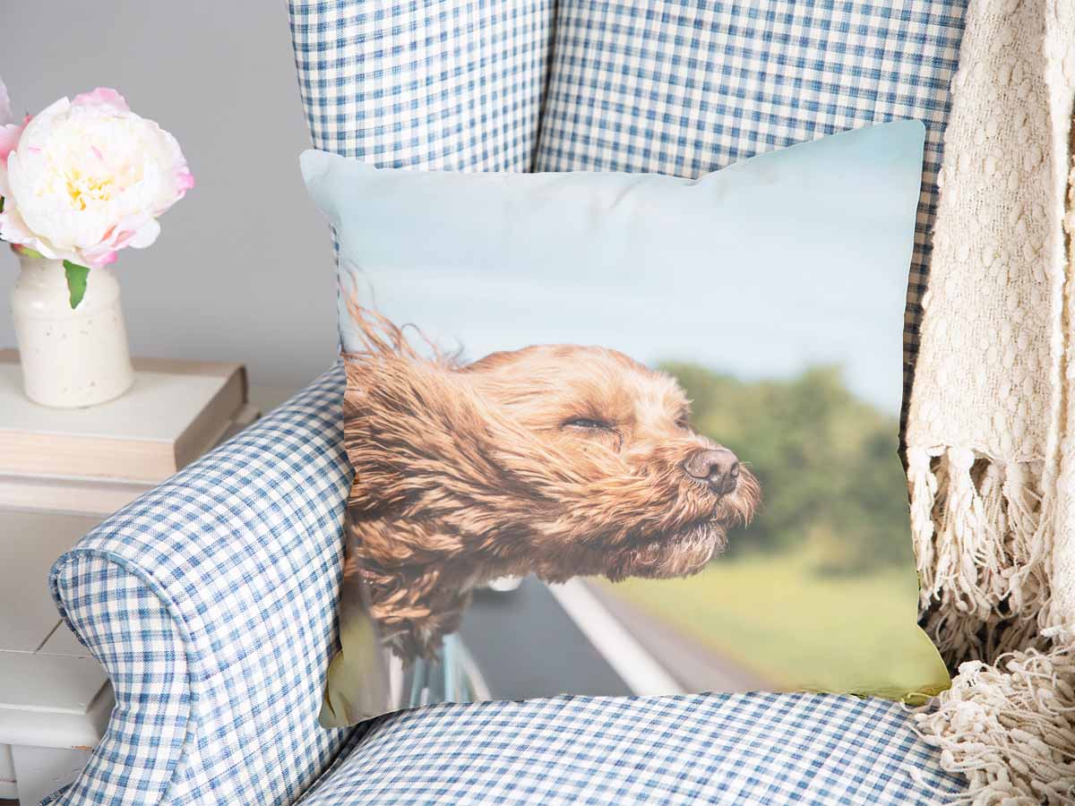 Health pillow with dog in the car