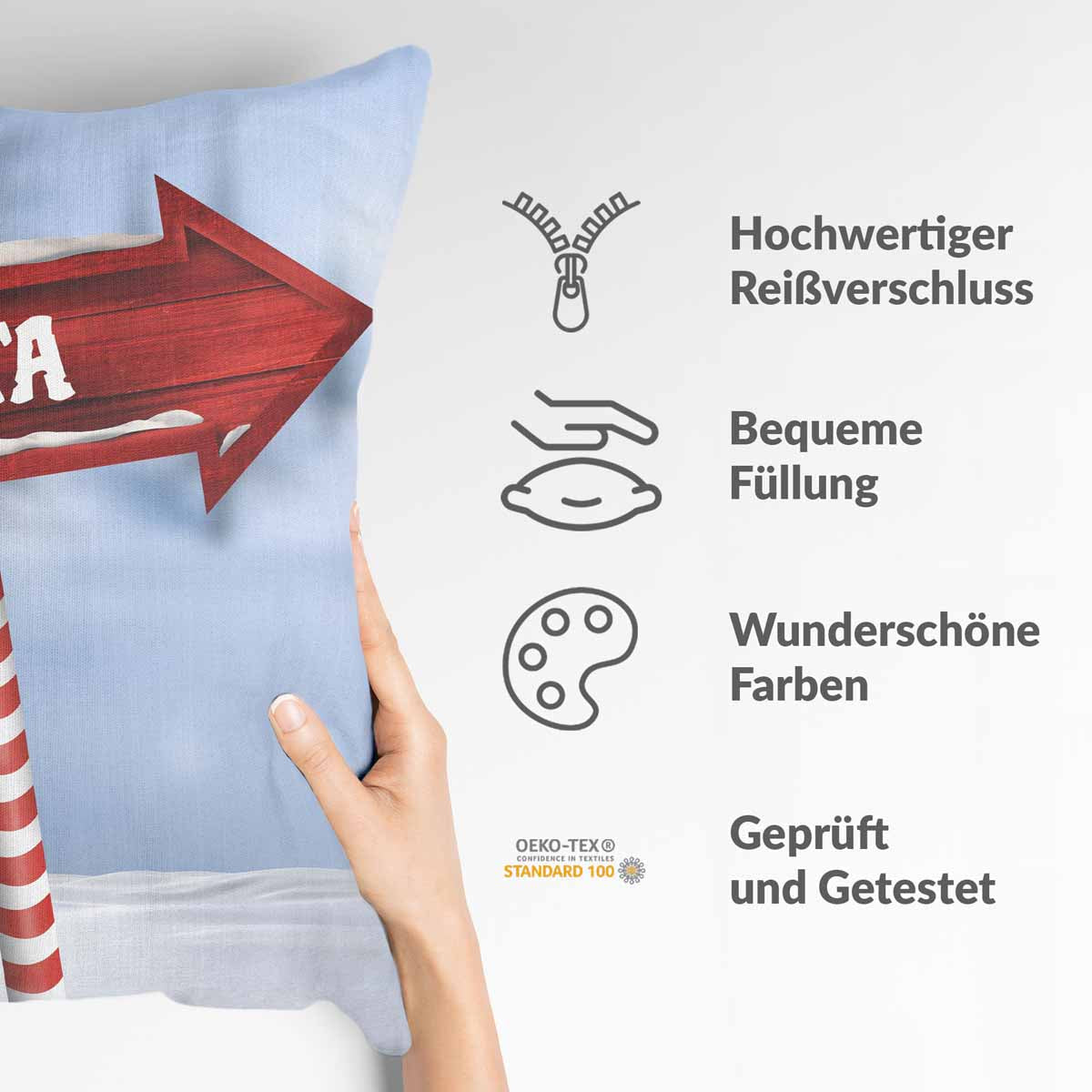 Coussin de santé Santa