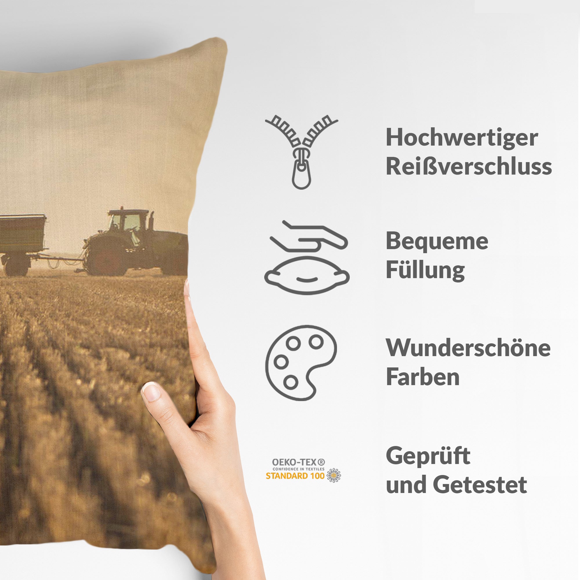 Coussin de santé Braun Acker