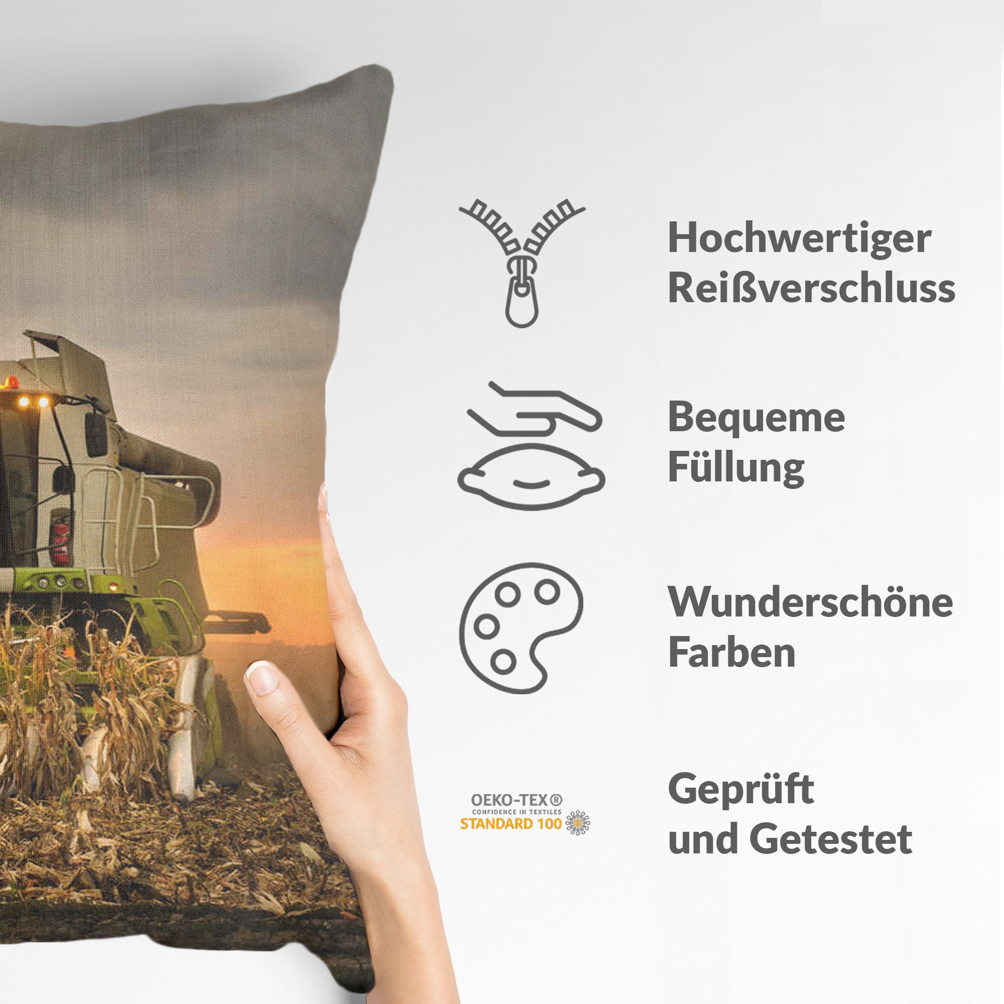 Coussin de santé Braun Dreschmaschine