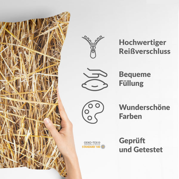 Health pillow with hay