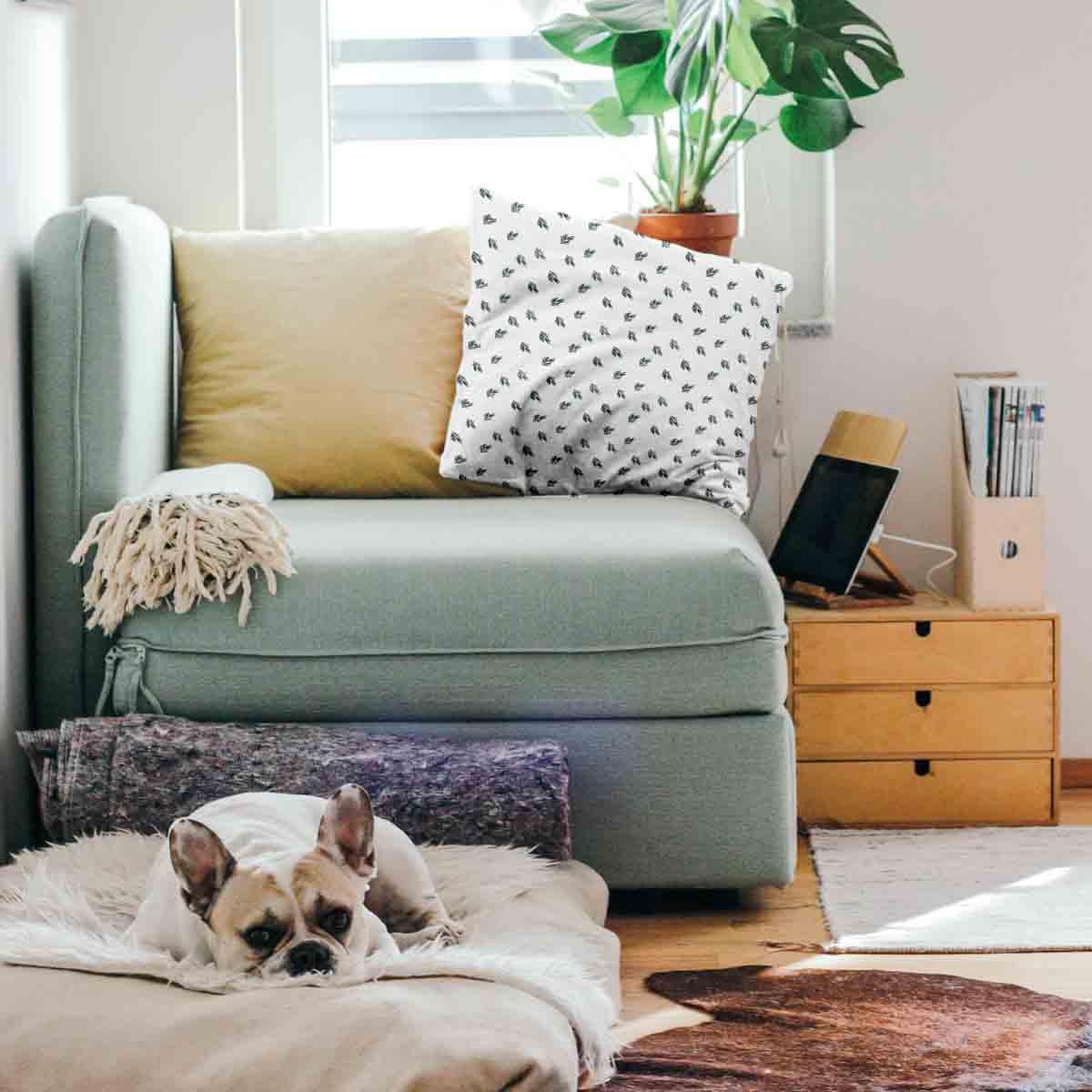 Coussin de santé Gui