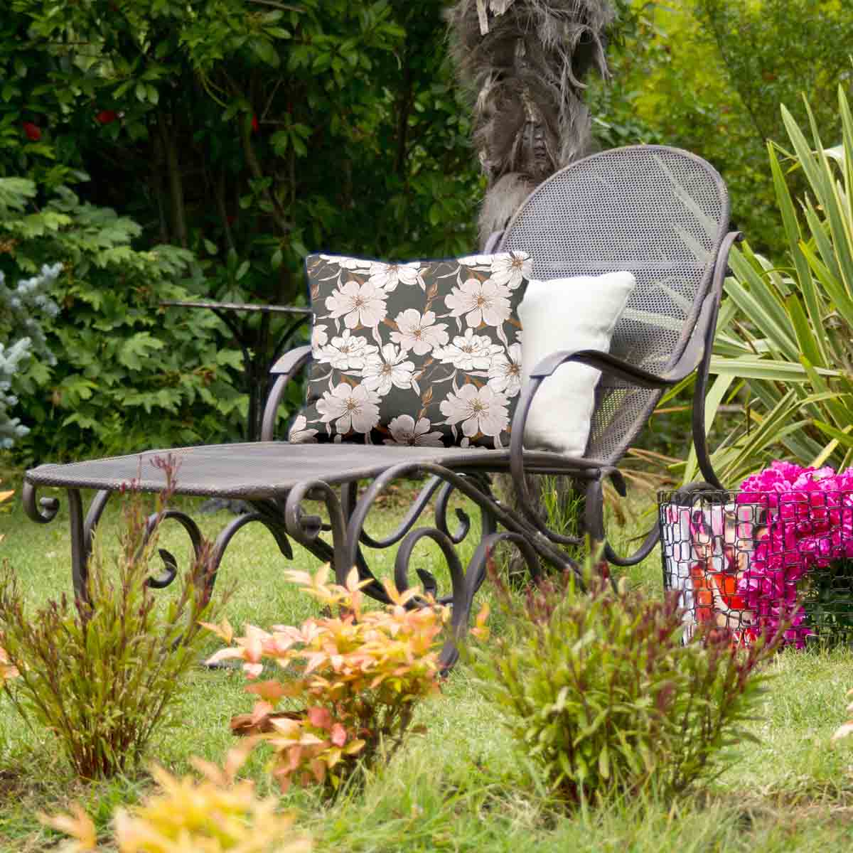 Coussin de santé avec fleurs d'aster rose