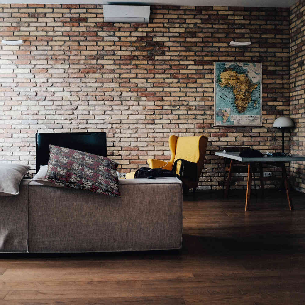 Health Pillow Scary Cat