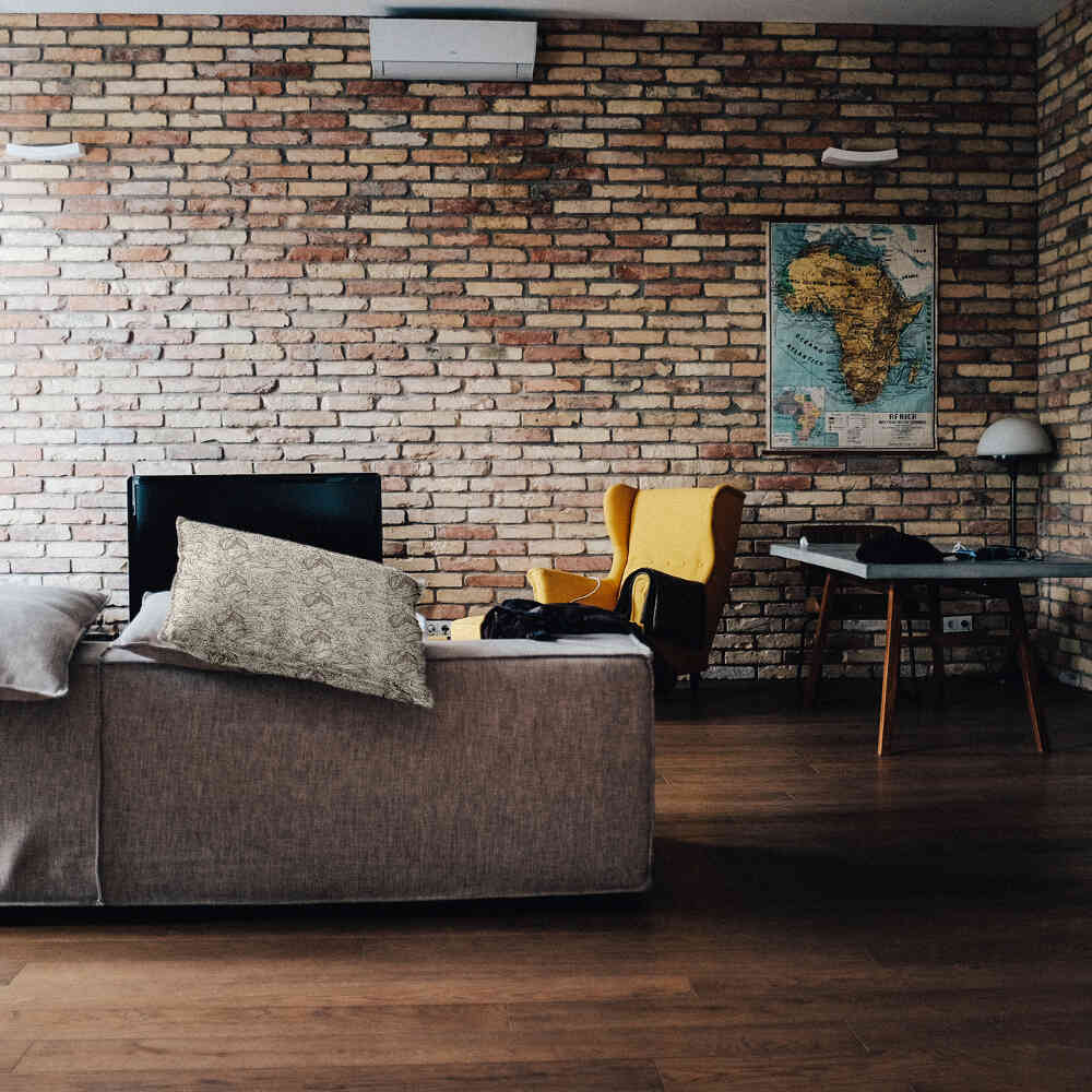 Coussin de santé plante de cacao