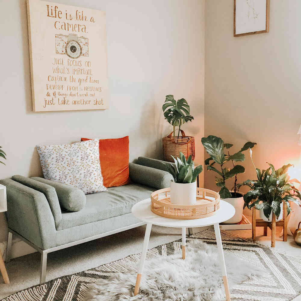 Coussin de santé avec de délicates branches colorées