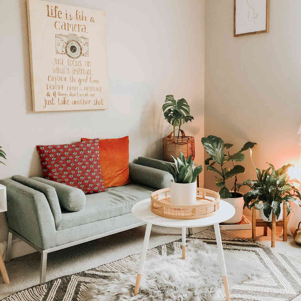 Health Pillow Red Take-away