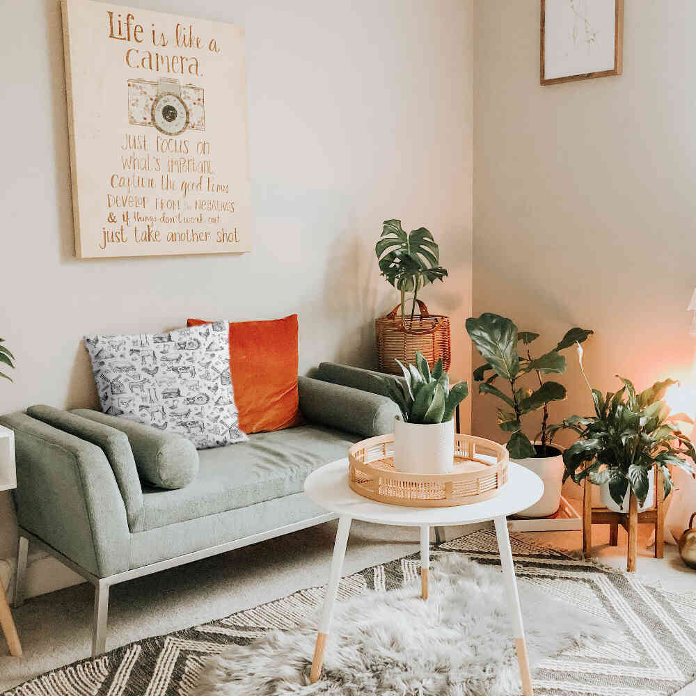 Coussin de santé gris ferme